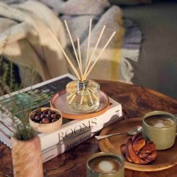 ECOYA diffuser on table with books. 7 reed sticks