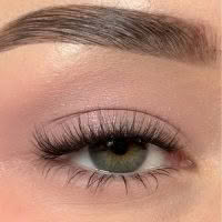 Silly George Pop-On Lashes: The 75+ Lash Style Dusk Black - Image 2
