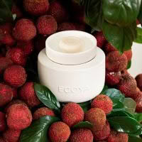 ECOYA Electric Wax Melter + Soy Wax Melts Combo - Image 3