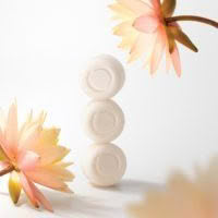 ECOYA Electric Wax Melter + Soy Wax Melts Combo - Image 7
